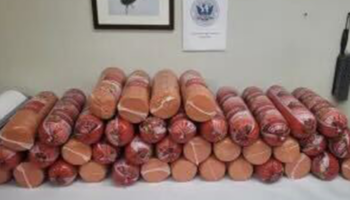 Woman caught smuggling more than 700 pounds of bologna at southern border: CBP