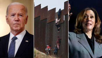 White House mum amid outrage over data showing how many illegal immigrant criminals are free in US