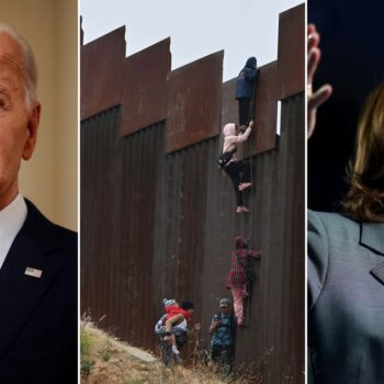 White House mum amid outrage over data showing how many illegal immigrant criminals are free in US