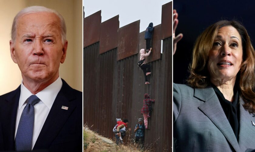 White House mum amid outrage over data showing how many illegal immigrant criminals are free in US