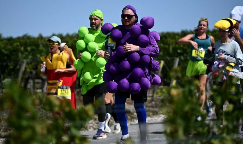 Mon Marathon du Médoc, la course que seuls les Français pouvaient inventer