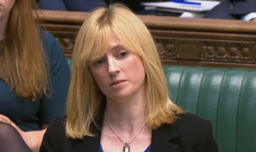 Rosie Duffield in the Commons. Pic: PA