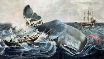 "Moby-Dick" : Ein Wal von einem Buch