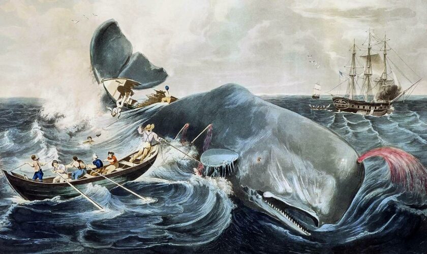 "Moby-Dick" : Ein Wal von einem Buch