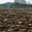 «Il faut savoir quelle agriculture on défend»