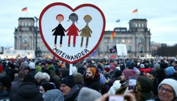 Abgeordnete bringen bald AfD-Verbotsantrag im Bundestag ein