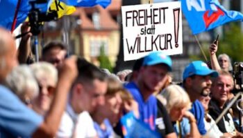 AfD und das BSW: Jetzt muss Schluss sein! Eine Wählerbeschimpfung