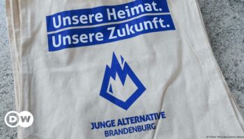 AfD und die Jungwähler: Zukunftsangst und Enttäuschung