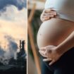 Air pollution has shocking affect on brains of newborn babies, new study finds