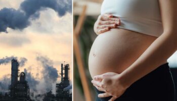 Air pollution has shocking affect on brains of newborn babies, new study finds