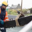 Ancient Orkney shipwreck put in water tank for preservation