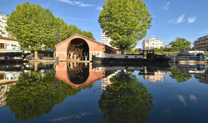 André Manoukian donne un concert sur l’eau à Toulouse pour sauver les platanes du canal du Midi