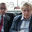 BORIS JOHNSON: To this day I don't know exactly why Gove did me in. What I resented most was the sheer stupidity of it