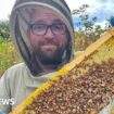 Beekeeper inspired by grandfather's long lost hives