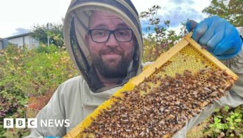 Beekeeper inspired by grandfather's long lost hives