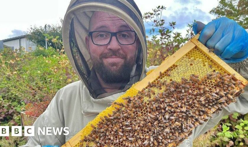 Beekeeper inspired by grandfather's long lost hives