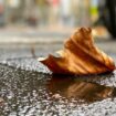 Wetterumschwung: Regen, Sturm und Schnee in Deutschland Foto: Henrich Linda/dpa