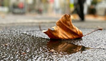 Wetterumschwung: Regen, Sturm und Schnee in Deutschland Foto: Henrich Linda/dpa