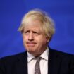 Boris Johnson says Covid did begin with Chinese lab leak despite 'demented' pangolin comments as PM