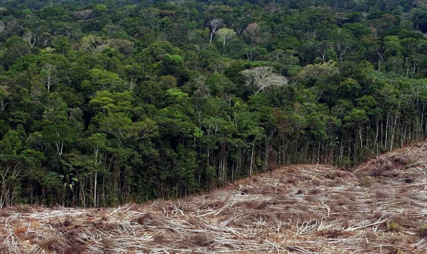 Brasil solicita a la UE frenar la normativa que pretende evitar la deforestación importada