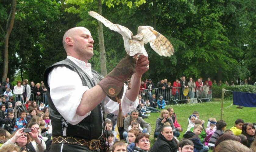 Brie-Comte-Robert renonce définitivement aux spectacles de rapaces à la fête médiévale