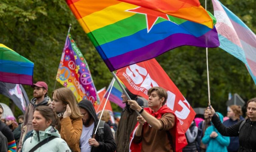 Hunderte Menschen feierten den CSD in Görlitz-Zgorzelec trotz rechter Gegenproteste. Foto: Daniel Wagner/dpa