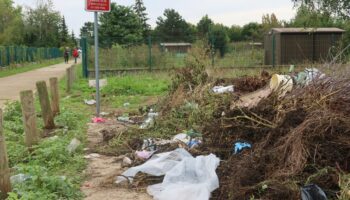 Caméras, amendes, voire expulsions : face aux incivilités, les jardins familiaux de l’Oise cherchent la parade