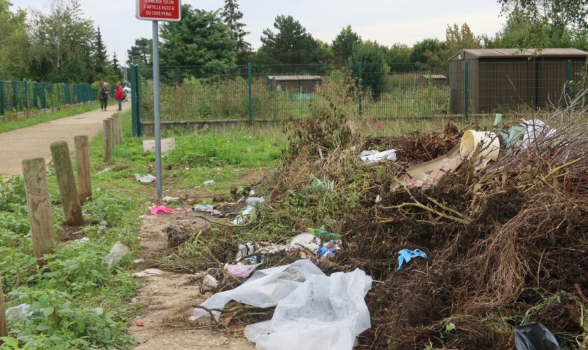 Caméras, amendes, voire expulsions : face aux incivilités, les jardins familiaux de l’Oise cherchent la parade