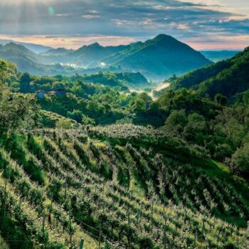 Carnet de voyage sur la route du prosecco : des paysages uniques au monde