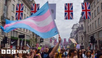 Census may have overestimated number of trans people in England and Wales