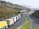 Christmas food deliveries are under threat from new EU border fingerprint and facial recognition checks, truckers say