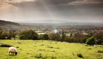 Cotswolds in England: »Lass dich einfach durch die Dörfer treiben«