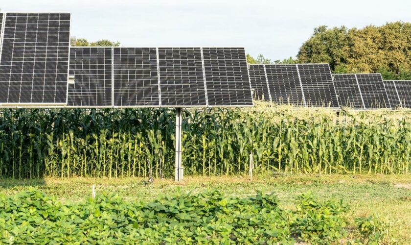 Dans les Landes, un immense projet d’énergie solaire au milieu des champs