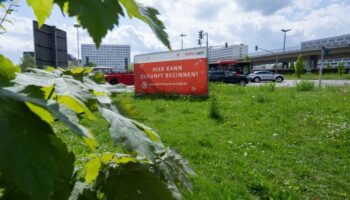 Noch ist hier grüne Wiese: Das Zukunftszentrum in Halle soll 2030 fertig werden. (Archivbild) Foto: Hendrik Schmidt/dpa