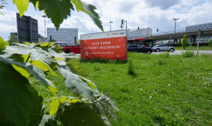 Noch ist hier grüne Wiese: Das Zukunftszentrum in Halle soll 2030 fertig werden. (Archivbild) Foto: Hendrik Schmidt/dpa