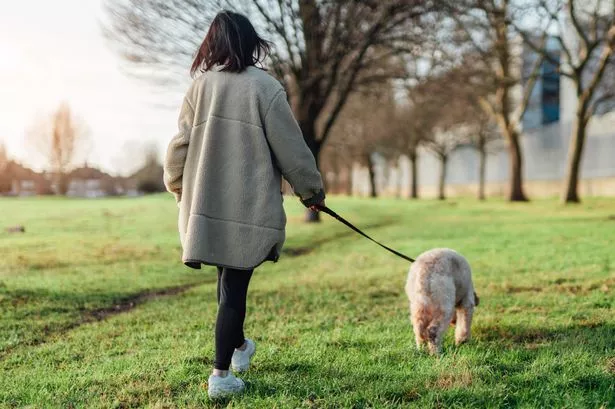 Dog owners warned of deadly autumn risk to pets causing respiratory paralysis and death