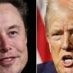 Donald Trump: Elon Musk könnte in Regierung die US-Finanzen prüfen