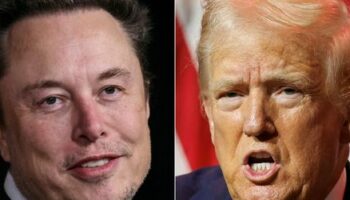 Donald Trump: Elon Musk könnte in Regierung die US-Finanzen prüfen