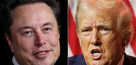 Donald Trump: Elon Musk könnte in Regierung die US-Finanzen prüfen