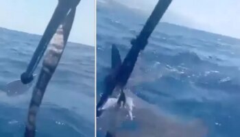 Dramatic moment kayaker uses paddle to ward off shark in La Palma