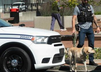 Drohungen nach Trumps Migrantenhetze: Ohio stellt Schulen in Springfield unter Polizeischutz