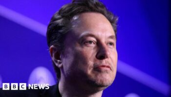 Elon Musk shunned as not invited to top UK summit