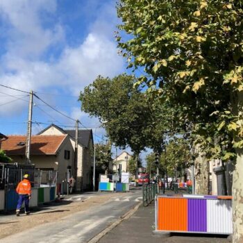 Essonne : les platanes centenaires de Marolles-en-Hurepoix sacrifiés pour des travaux d’assainissement ?