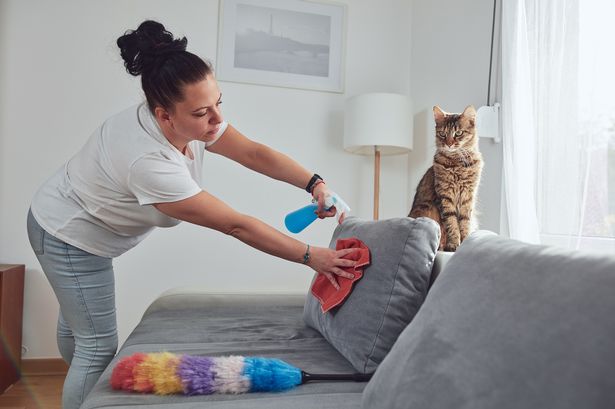 Expert’s cleaning hack to remove chocolate from furniture - one thing you should never do