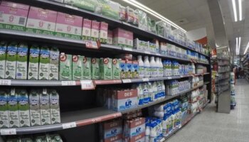 Facua denuncia que ocho cadenas de supermercados venden sus marcas blancas de leche al mismo precio