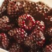 Faktencheck: Verhindern Himbeeren und Feigen Krebs?