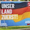 Far-right gains in east Germany could deal blow to economy