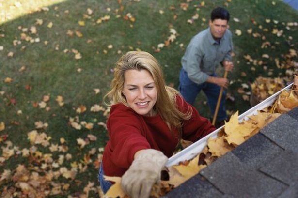 Five easy jobs to do around the house now to stop 'mould, leaks and mildew'