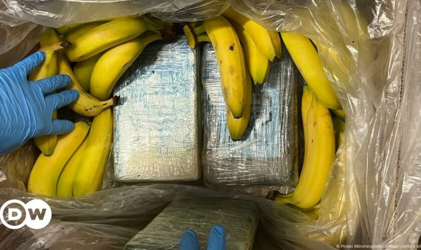 German supermarket finds €7M of cocaine in crates of bananas