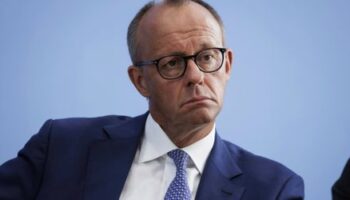 Gescheiterter Migrationsgipfel: Wie Friedrich Merz eine große Chance verstreichen ließ